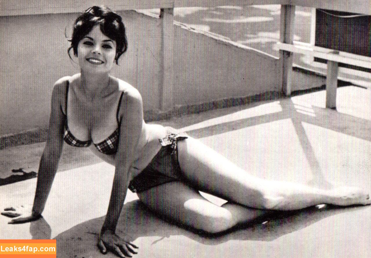 Vintage Starlets / vintagehollywoodstars leaked photo photo #2174