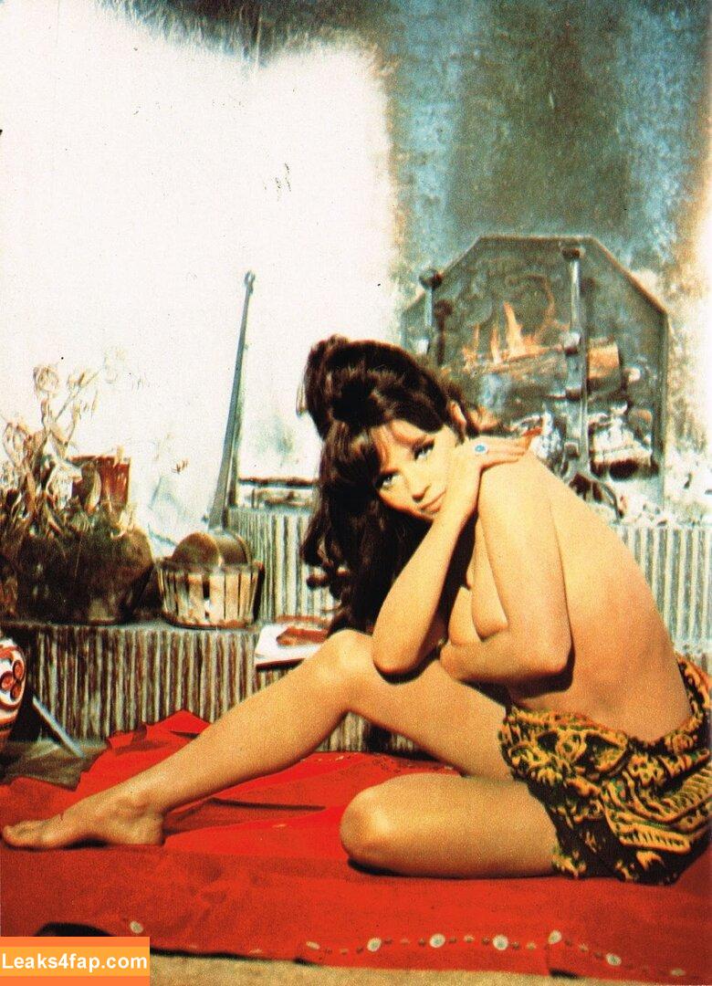 Vintage Starlets / vintagehollywoodstars leaked photo photo #2176