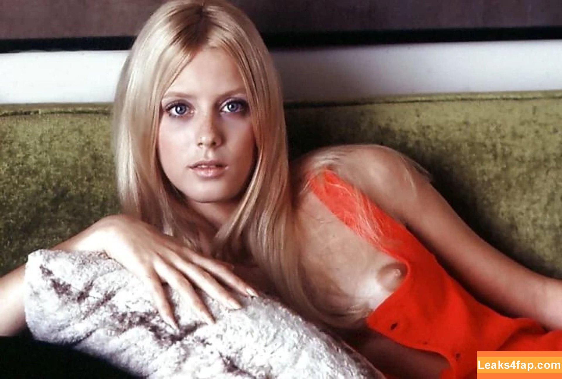 Vintage Starlets / vintagehollywoodstars слитое фото фото #2269