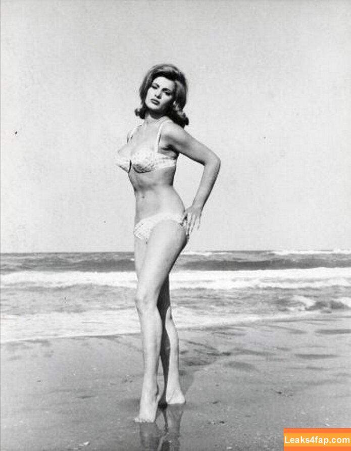 Vintage Starlets / vintagehollywoodstars leaked photo photo #2388