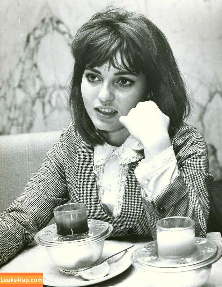 Vintage Starlets / vintagehollywoodstars leaked photo photo #2535
