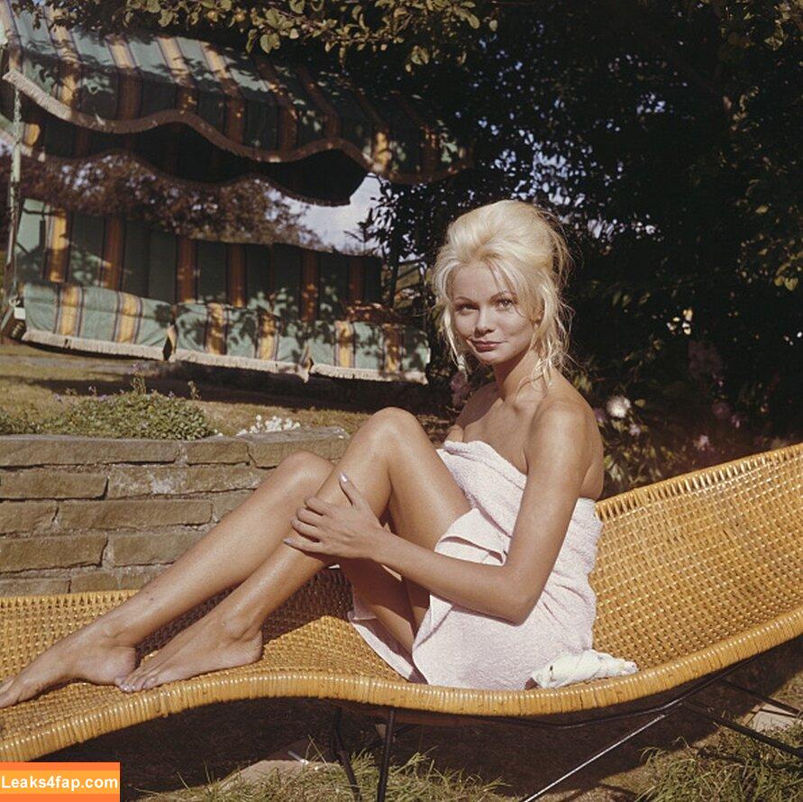 Vintage Starlets / vintagehollywoodstars leaked photo photo #2574