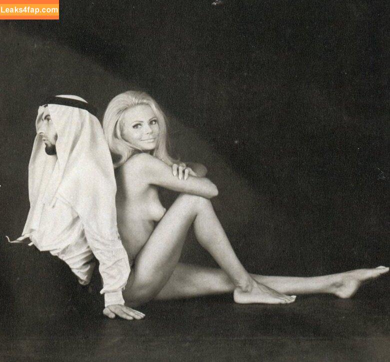 Vintage Starlets / vintagehollywoodstars leaked photo photo #2578