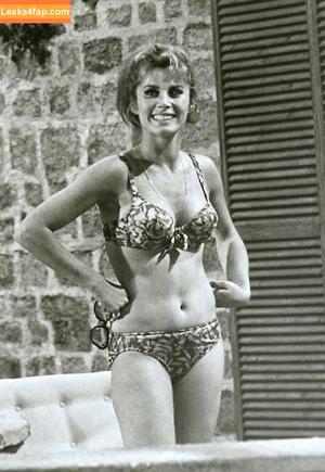 Vintage Starlets фото #2030