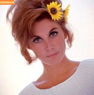 Vintage Starlets фото #2032