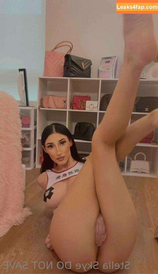 vipstellaskye / stellacantlive leaked photo photo #0035