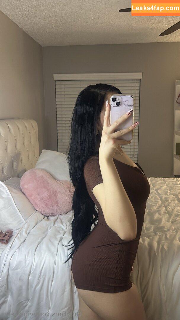 vipvixenn /  leaked photo photo #0007