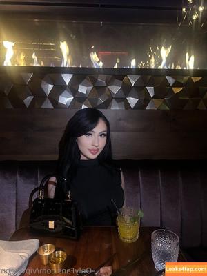 vipvixenn photo #0012