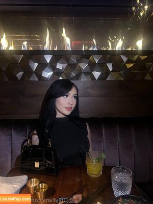 vipvixenn photo #0013