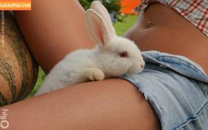 Virgula Girl фото #6441