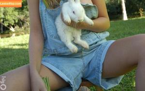 Virgula Girl photo #6552