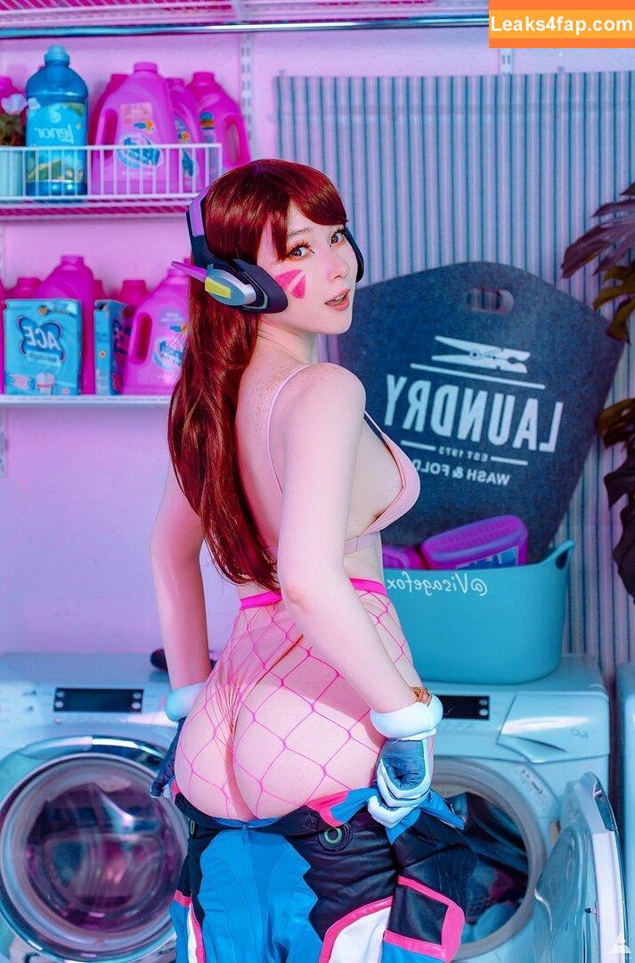 visagefox /  leaked photo photo #0114