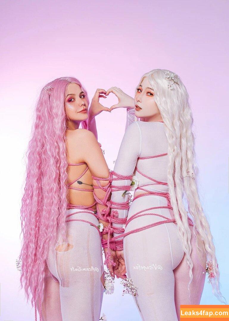 visagefox /  leaked photo photo #0228