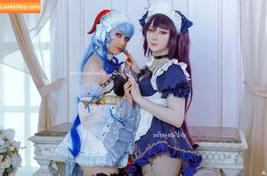 visagefox photo #0076
