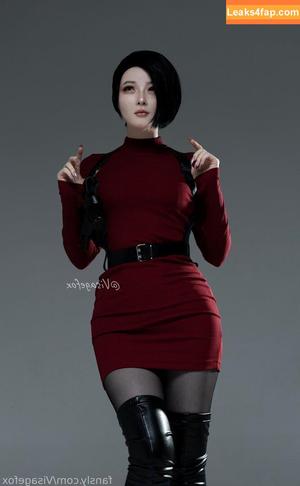 visagefox photo #0155
