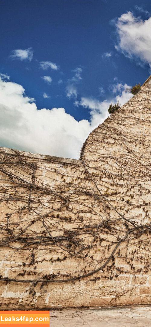 Vittoria Ceretti / vittoria слитое фото фото #0409