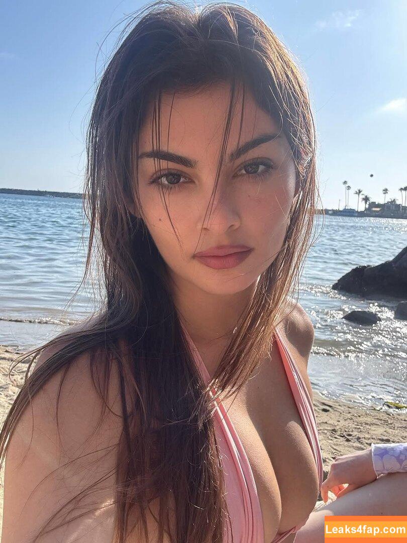 Vylette / vy1ette слитое фото фото #0002