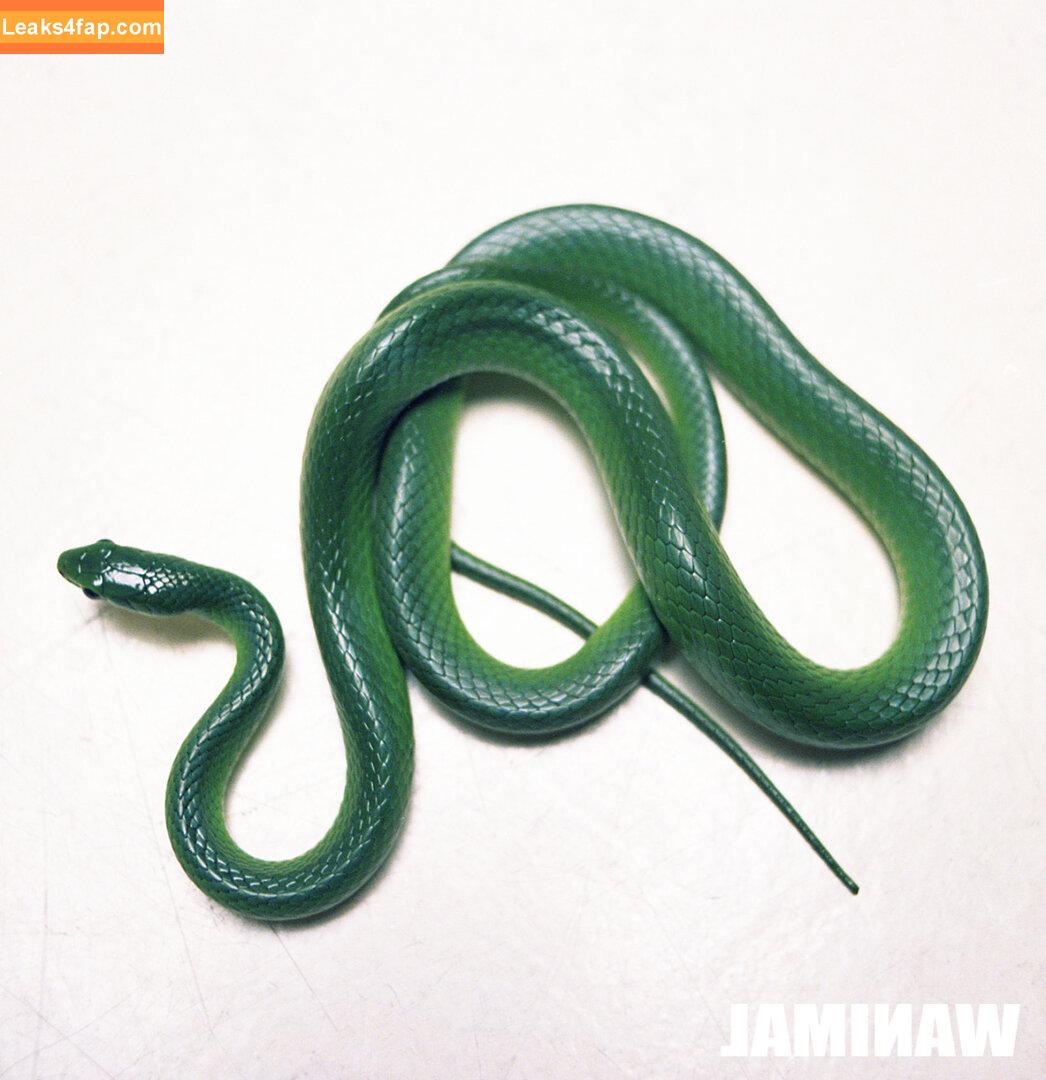 Wanimal Models / wanimal912 слитое фото фото #0172