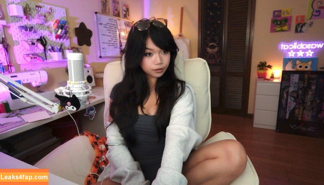 wasabiicat leaked photo photo #0536