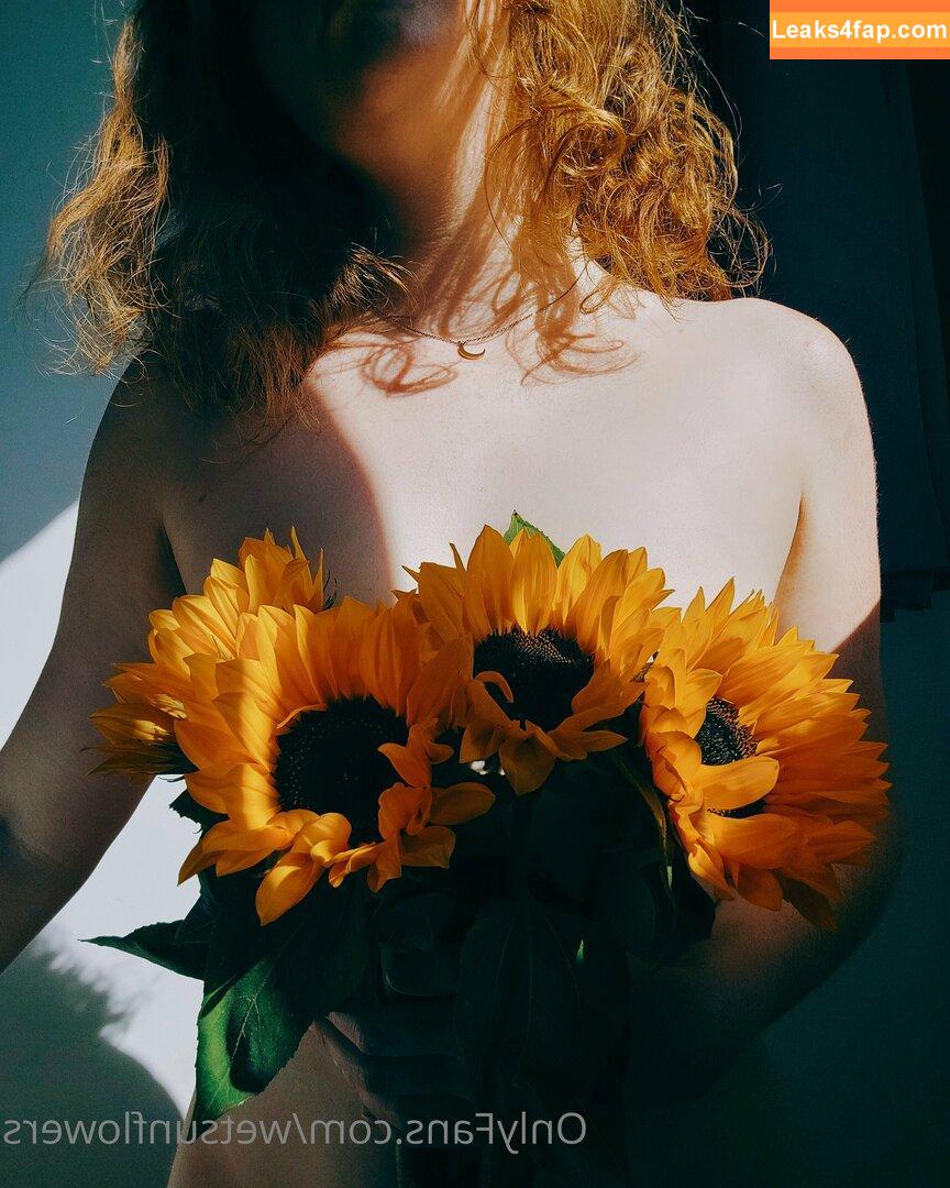 wetsunflowers /  leaked photo photo #0001