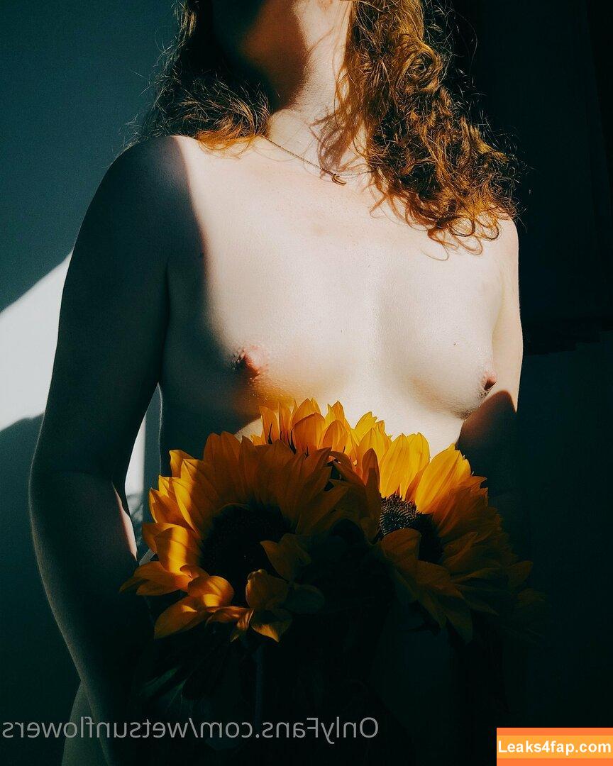 wetsunflowers /  leaked photo photo #0002