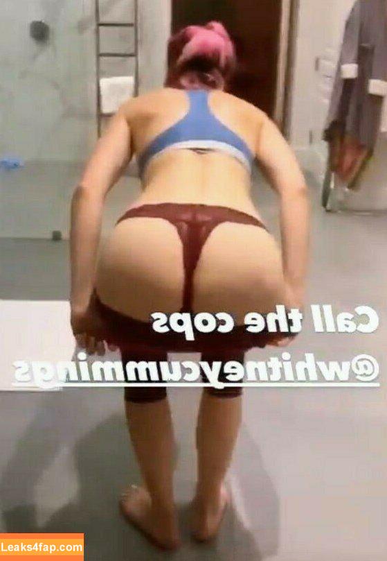 Whitney Cummings / whitneycummings leaked photo photo #0106