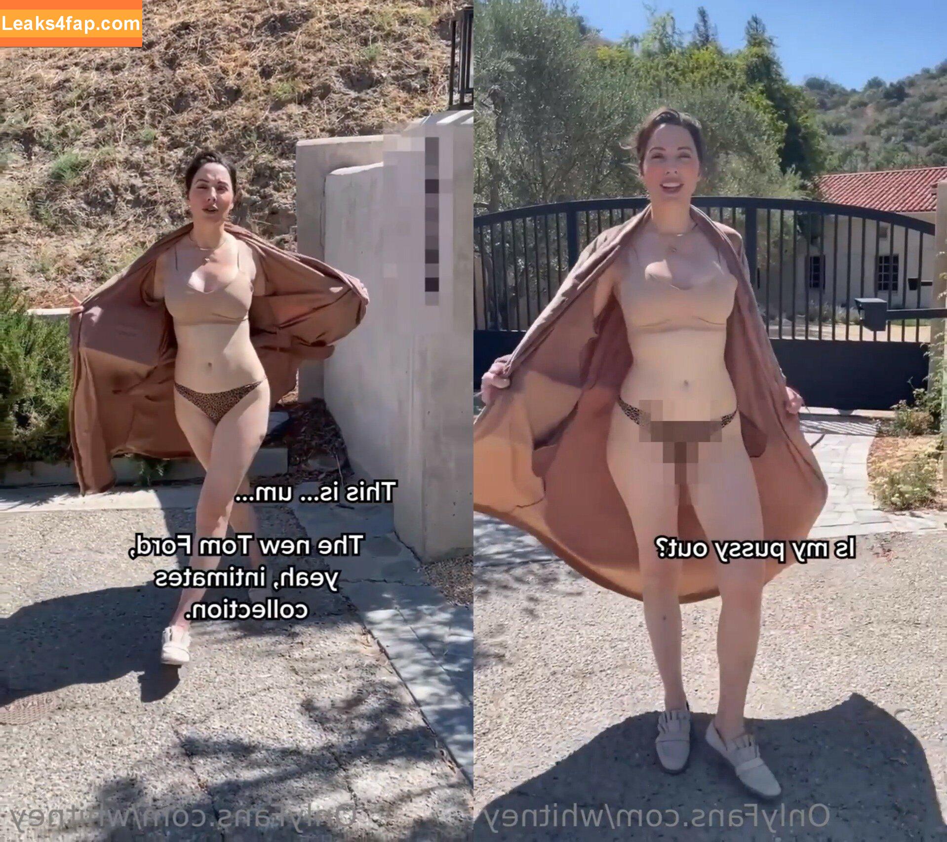 Whitney Cummings / whitneycummings leaked photo photo #0151