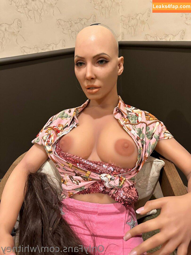 Whitney Cummings / whitneycummings leaked photo photo #0155