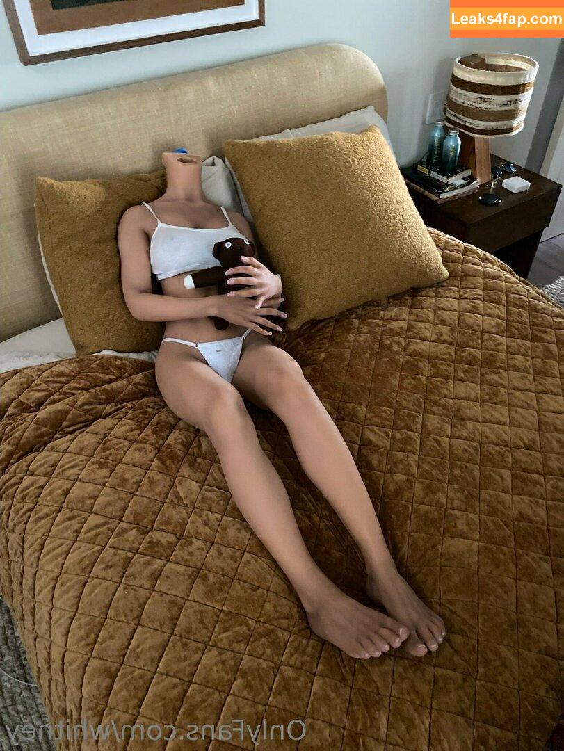 Whitney Cummings / whitneycummings leaked photo photo #0160