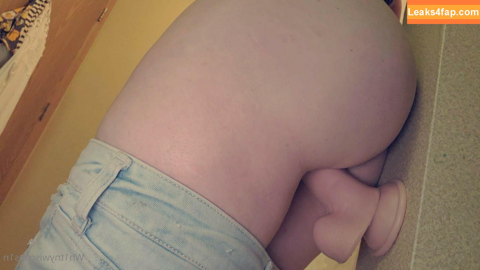 Whitney Wisconsin / Lynn Lew / RealWhitneyWI / wh1tnywiscons1n leaked photo photo #0038