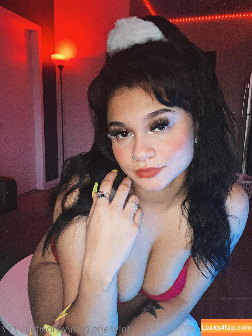 willowfairy777 /  leaked photo photo #0011
