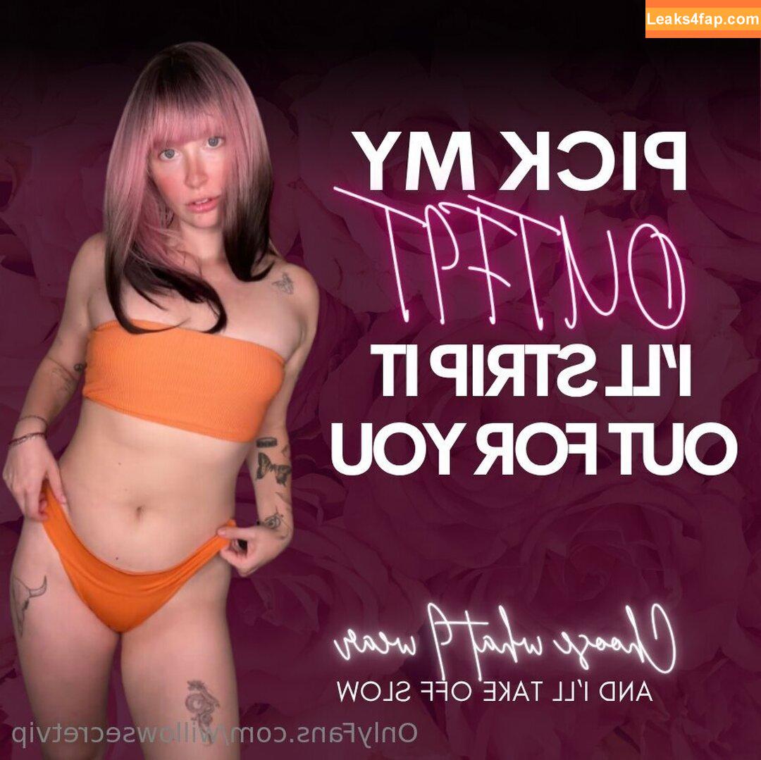 willowsecretvip / itswillowssecret leaked photo photo #0017