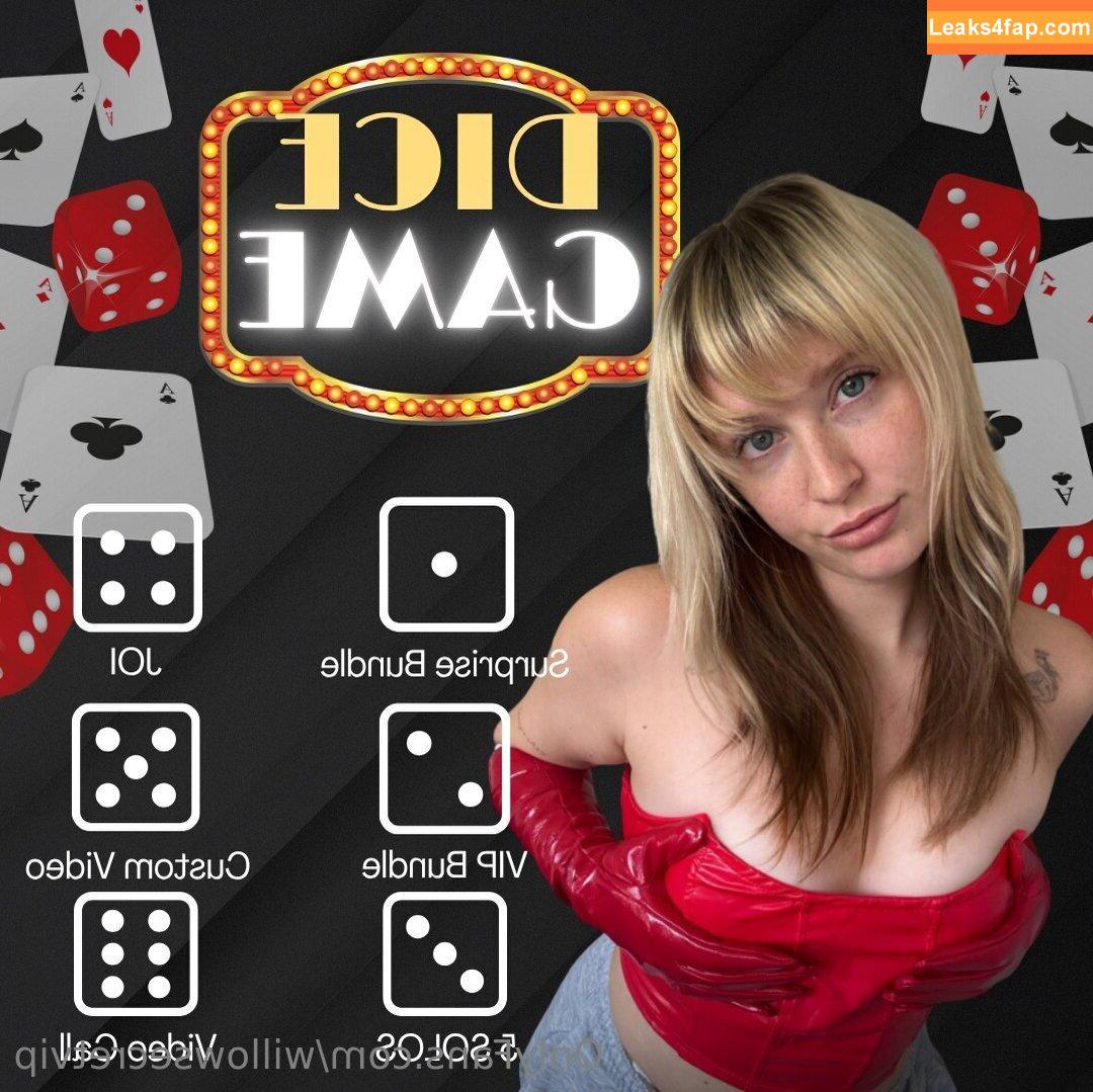 willowsecretvip / itswillowssecret leaked photo photo #0019
