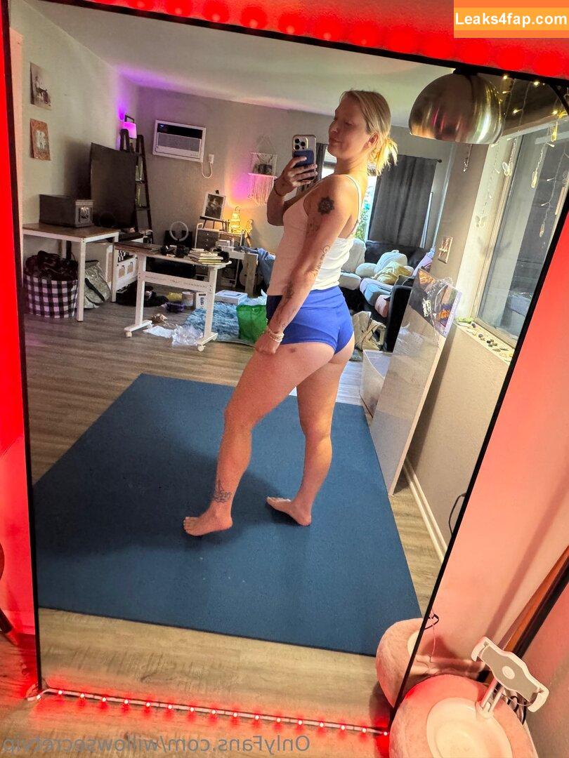 willowsecretvip / itswillowssecret leaked photo photo #0023