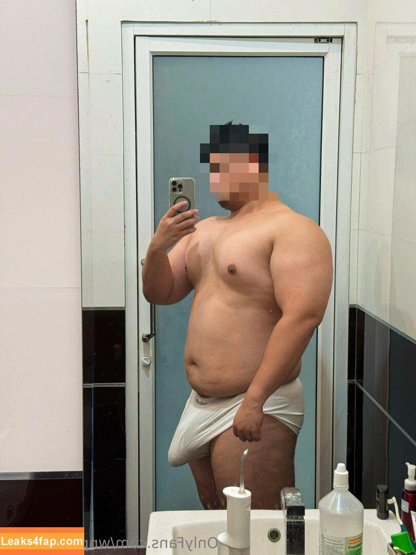 wnp55535995 / awkwardturtlesaywhat89 leaked photo photo #0102