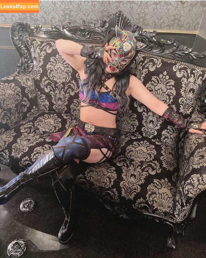 WomenJoshi / Puroresu слитое фото фото #0328