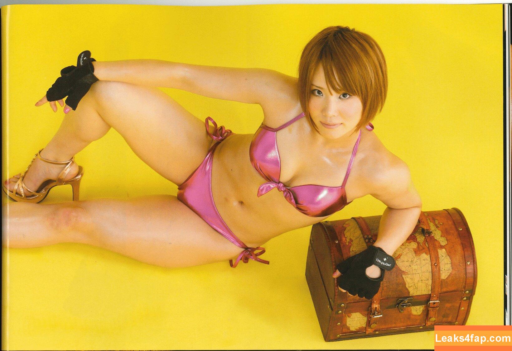 WomenJoshi / Puroresu слитое фото фото #0387