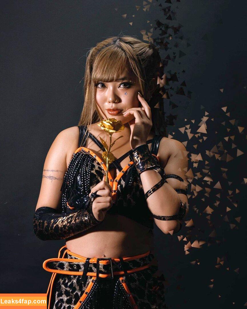 WomenJoshi / Puroresu слитое фото фото #1066