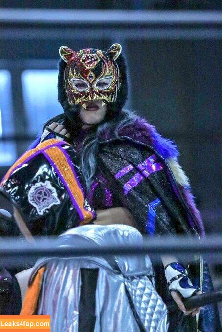 WomenJoshi / Puroresu слитое фото фото #1133