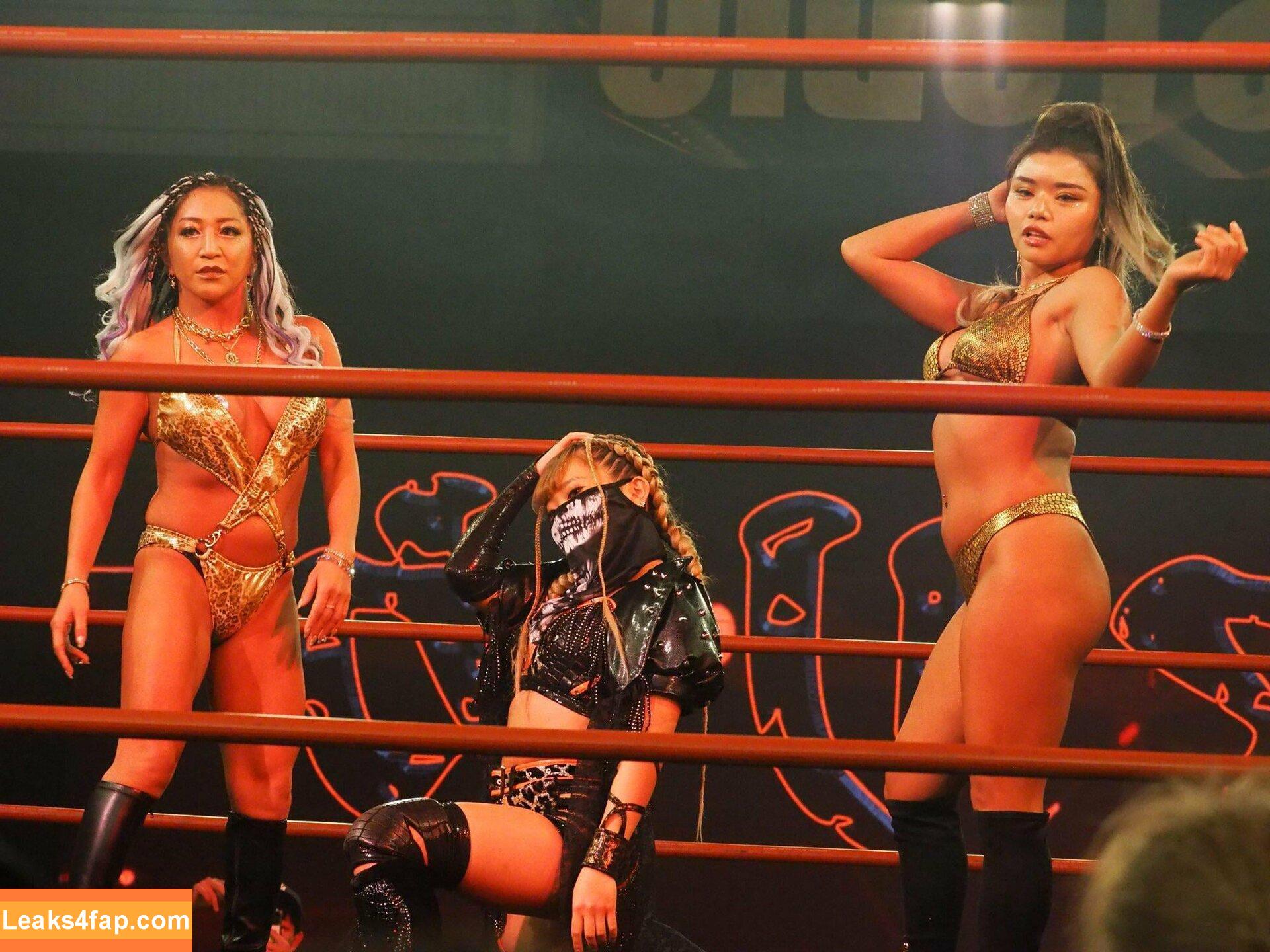 WomenJoshi / Puroresu слитое фото фото #1140