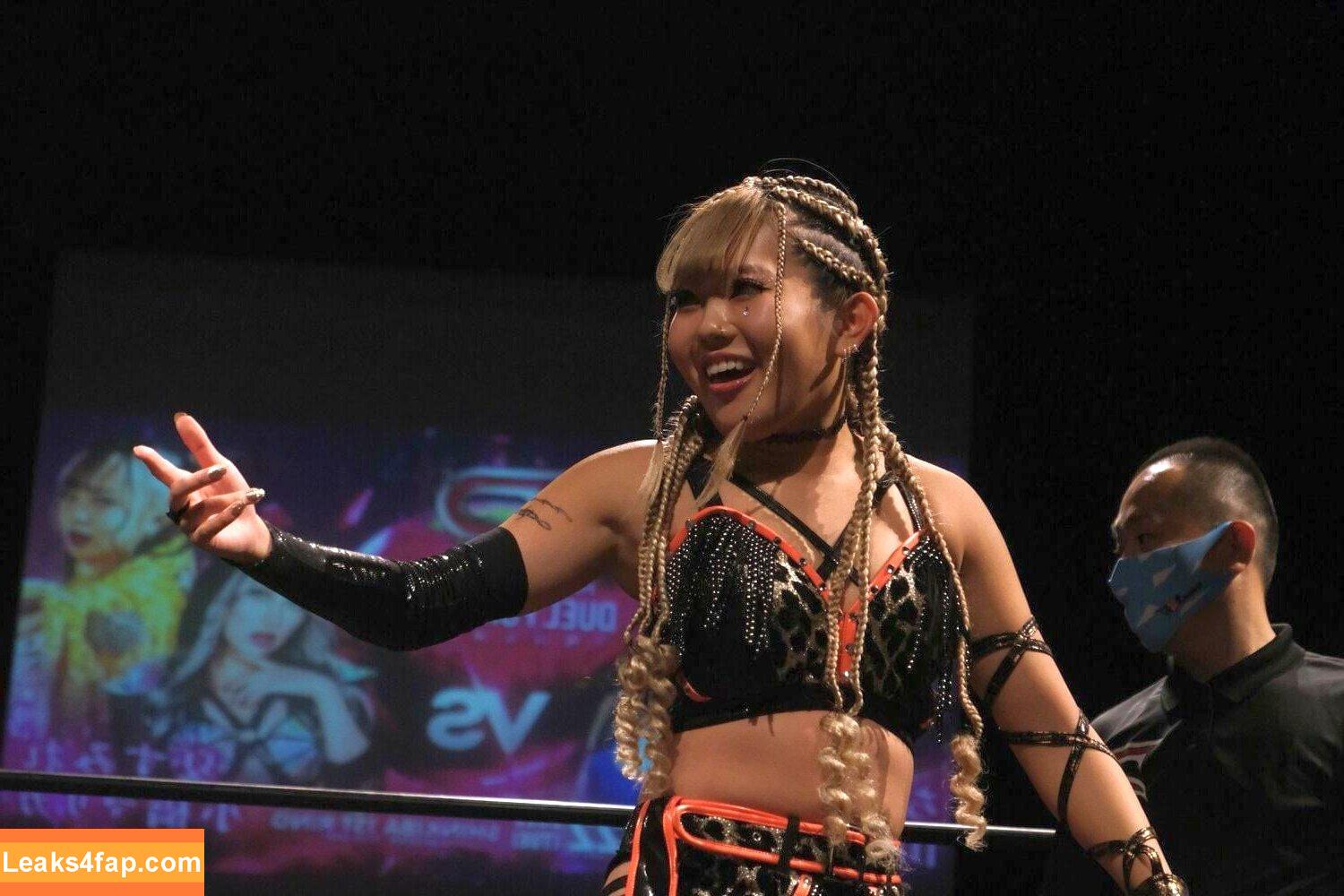 WomenJoshi / Puroresu слитое фото фото #1331