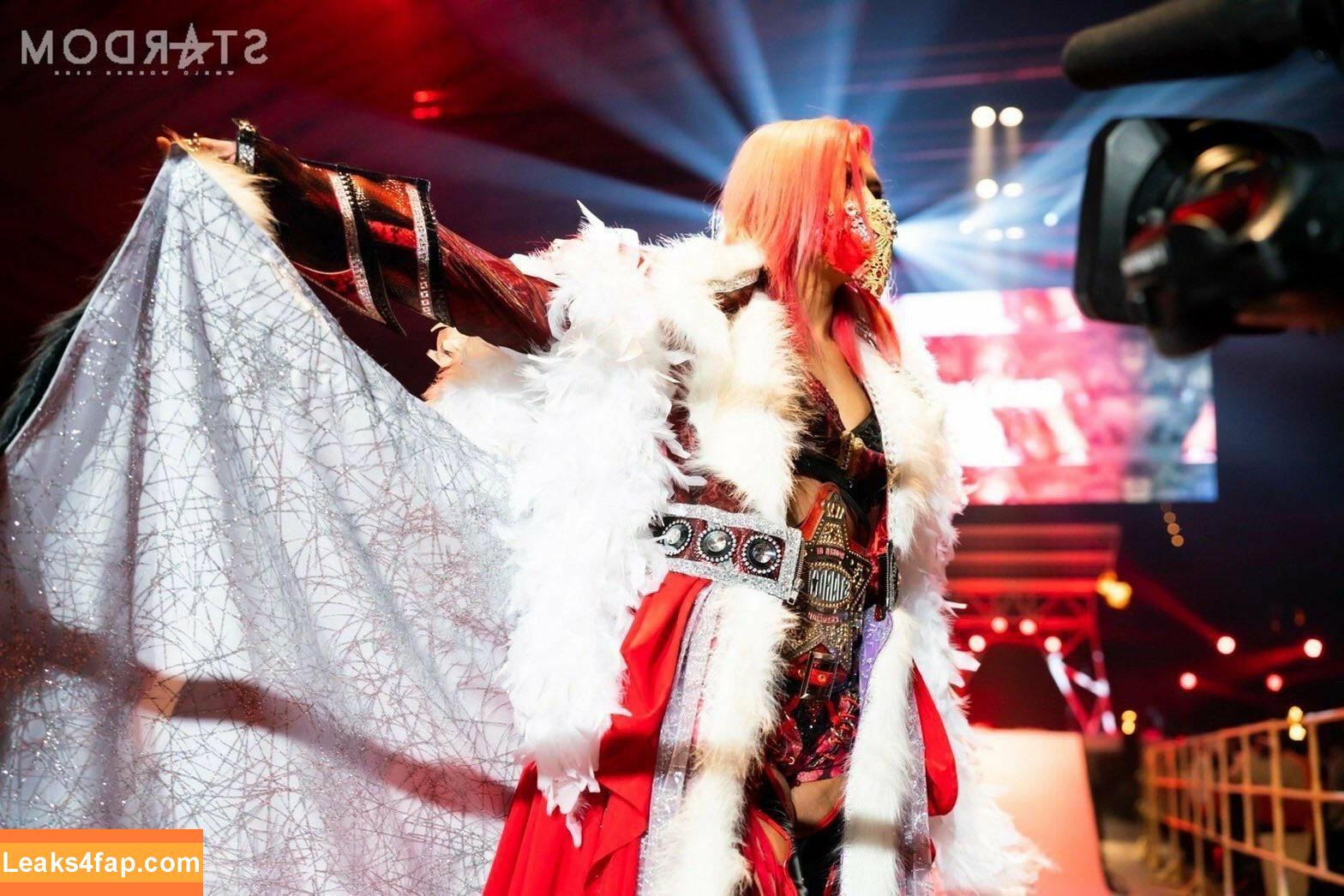 WomenJoshi / Puroresu слитое фото фото #1459