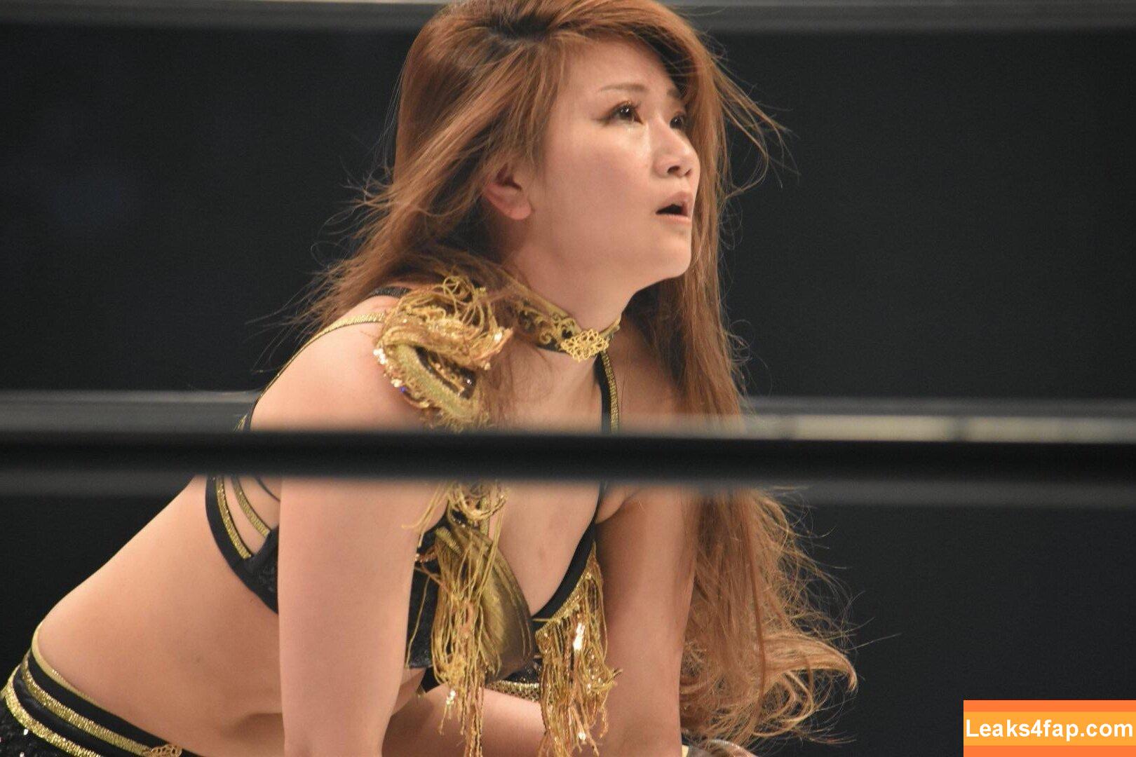 WomenJoshi / Puroresu слитое фото фото #1811