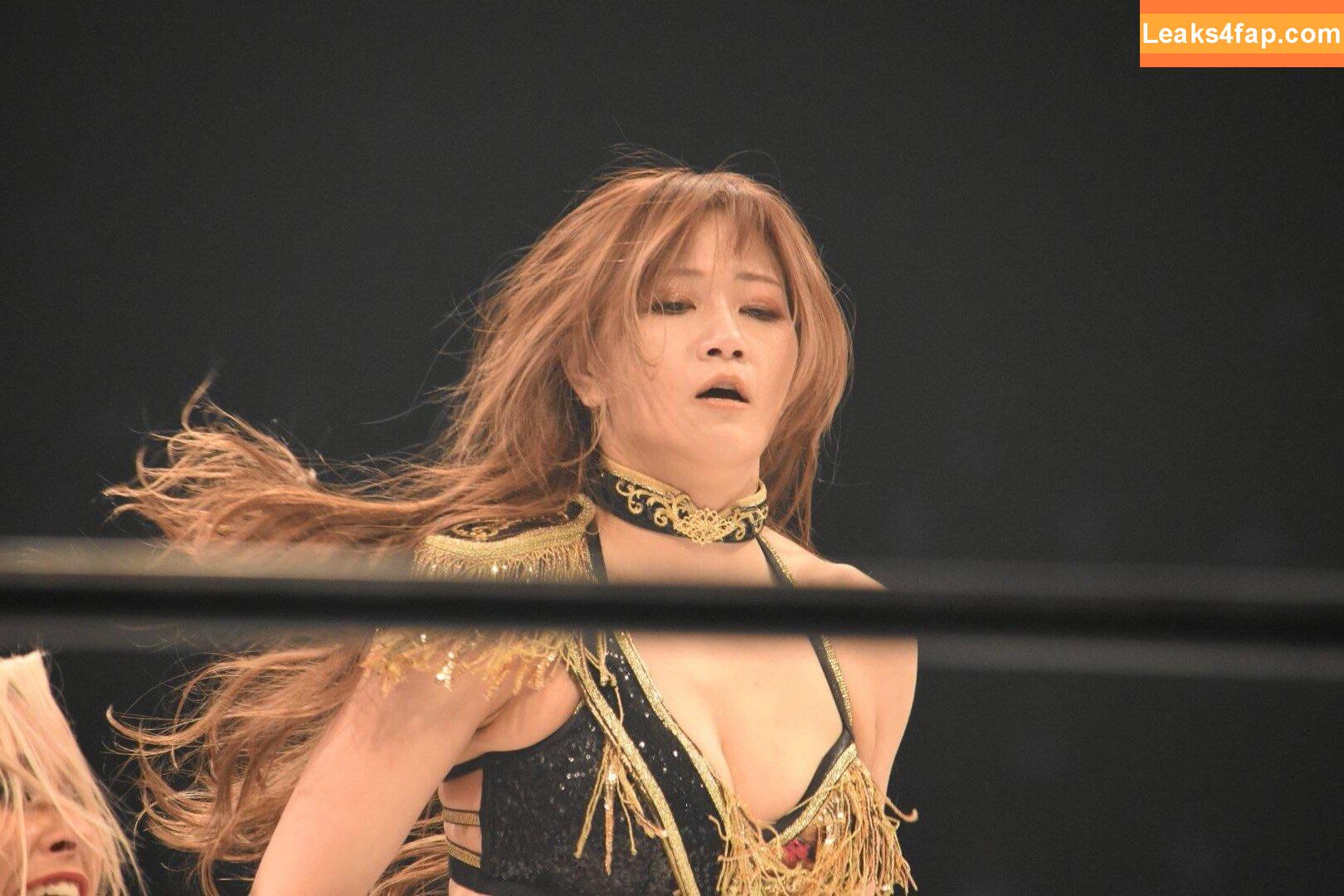 WomenJoshi / Puroresu слитое фото фото #1845