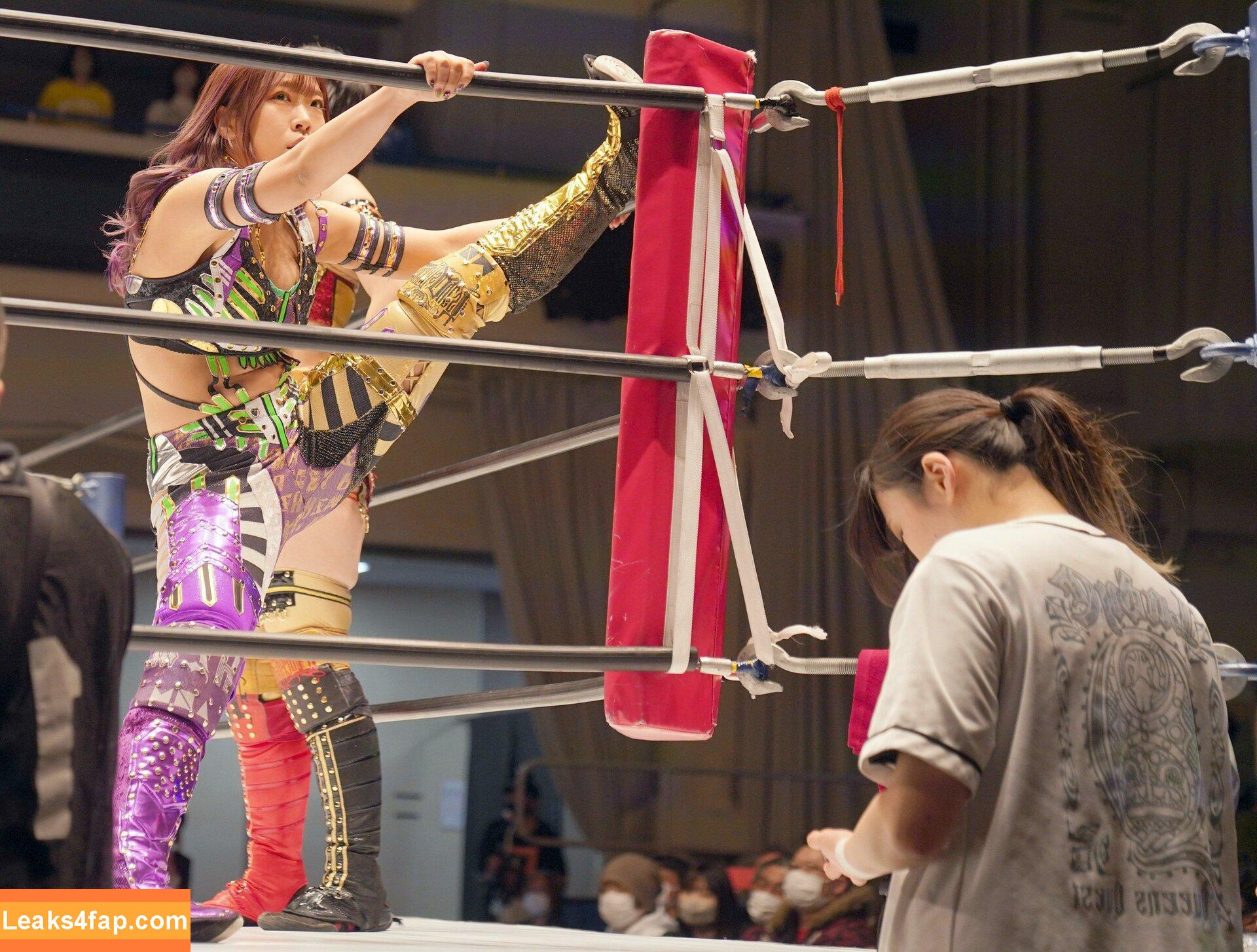 WomenJoshi / Puroresu слитое фото фото #1999