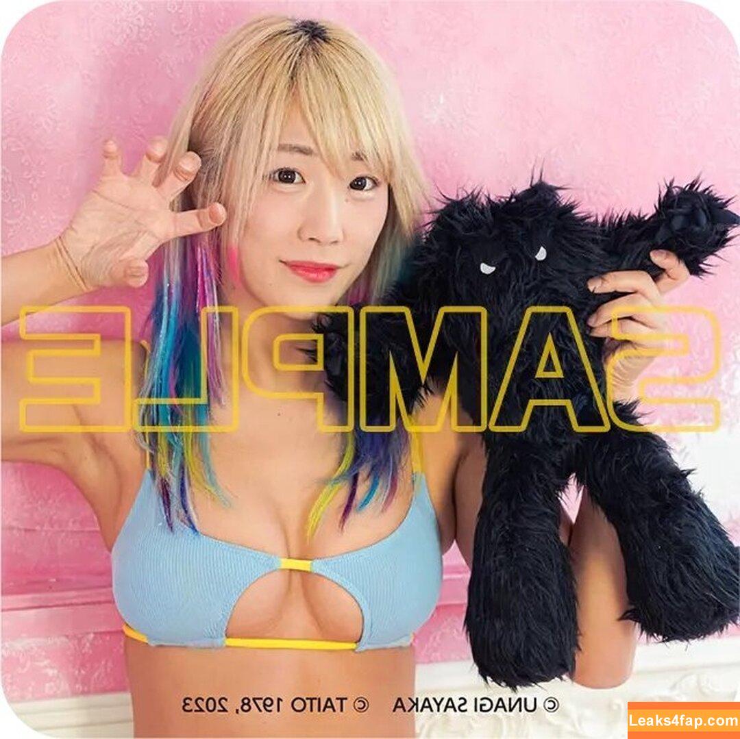 WomenJoshi / Puroresu слитое фото фото #2548