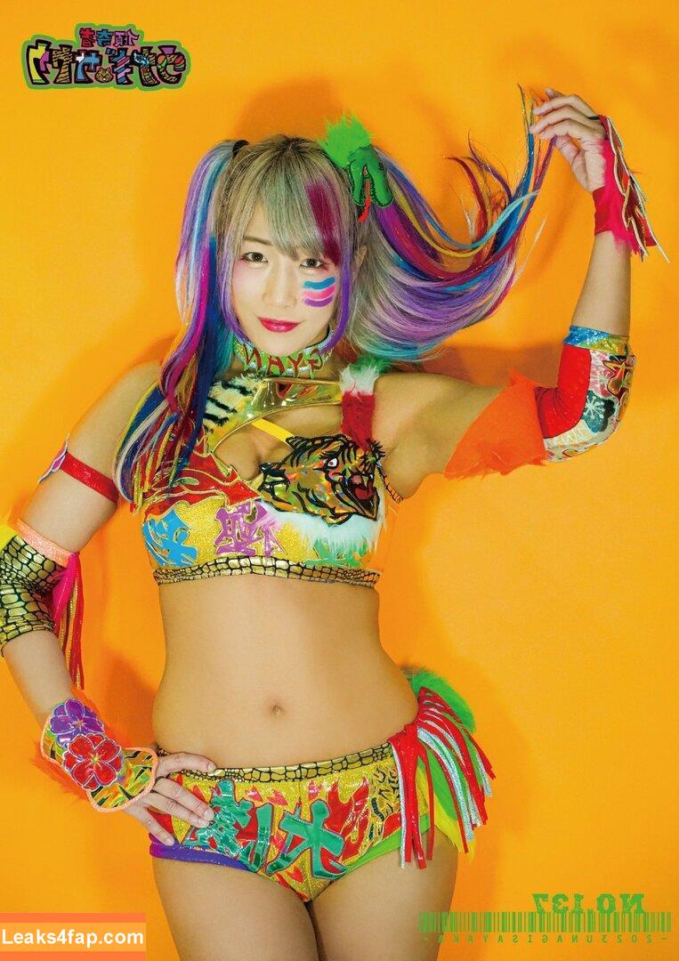 WomenJoshi / Puroresu слитое фото фото #2635