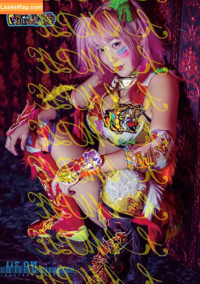 WomenJoshi / Puroresu слитое фото фото #3071