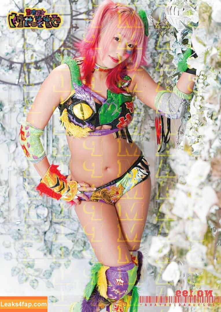 WomenJoshi / Puroresu слитое фото фото #3084