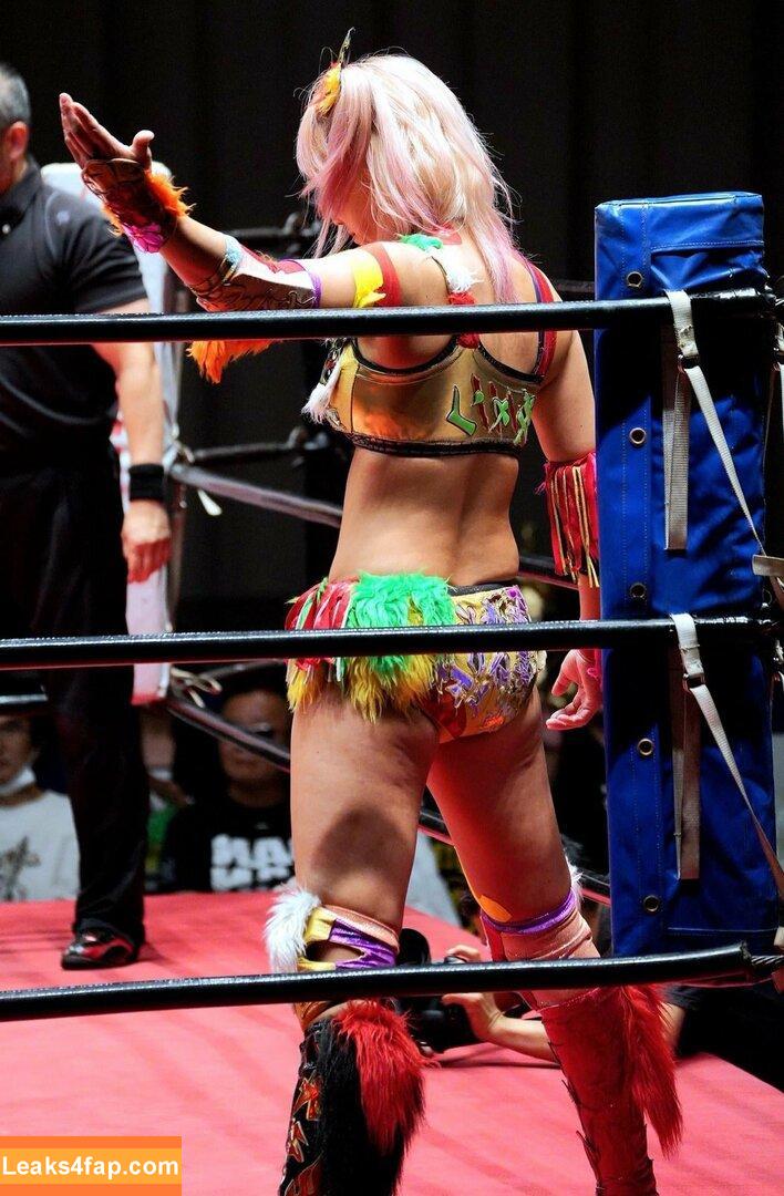 WomenJoshi / Puroresu слитое фото фото #3165